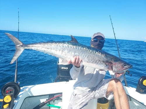 Offshore Bottom And Trolling Trip