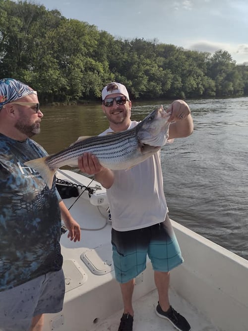 5 Hour Trip – Weldon Striper