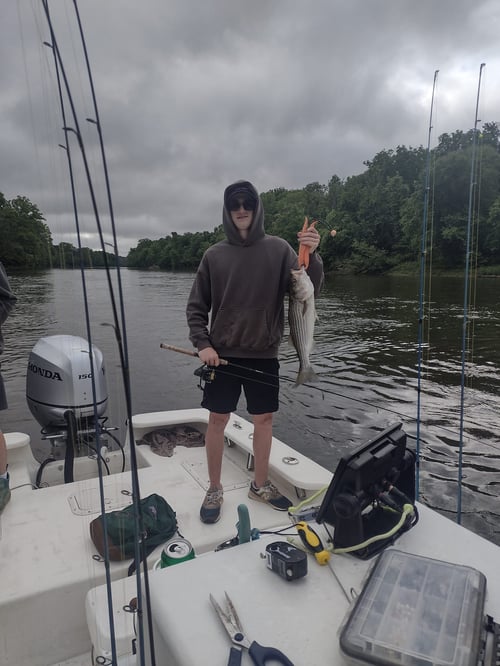 5 Hour Trip – Weldon Striper
