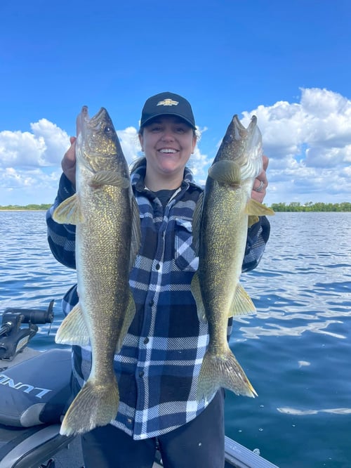 Ottertail County Multi Species