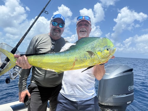 Offshore Fishing Trip (Deep Sea)
