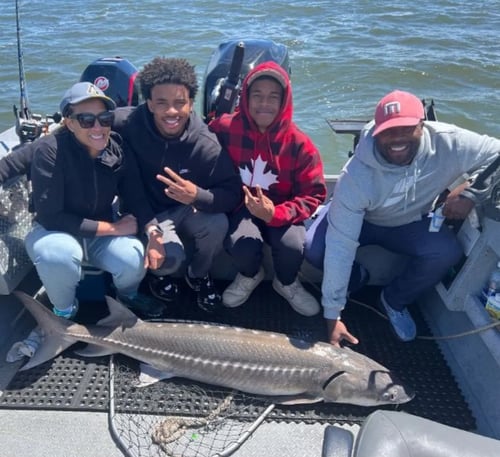 Sturgeon Trip - Catch And Release