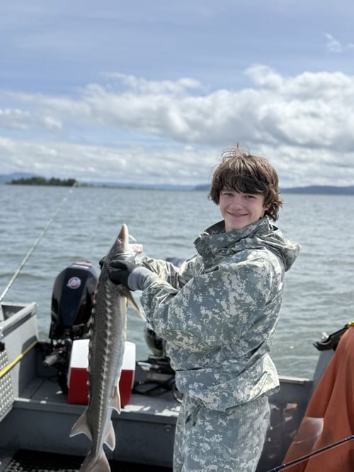Sturgeon Trip - Catch And Release