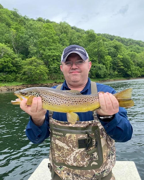 Fly Fishing For Seasoned Anglers