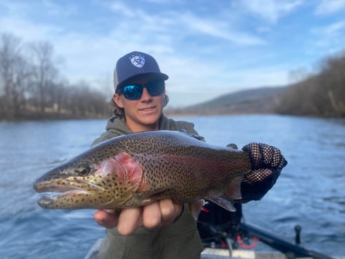 Fly Fishing For Seasoned Anglers