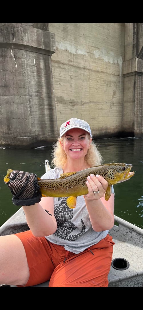 Fly Fishing For Seasoned Anglers