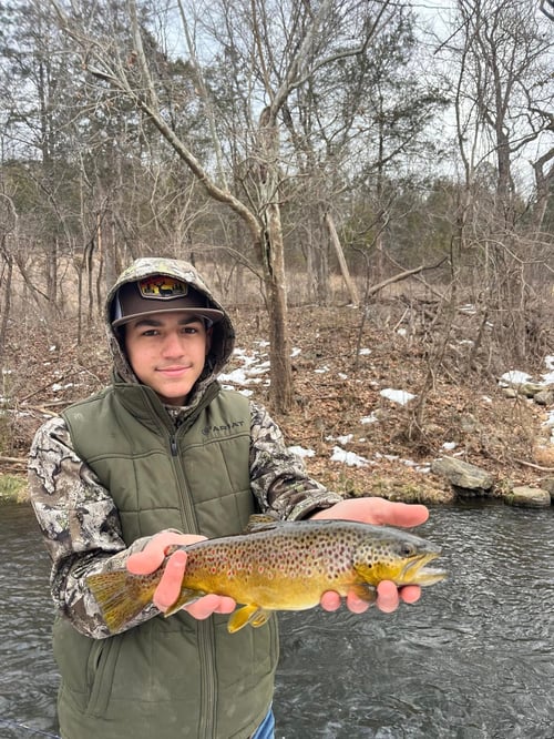 Fly Fishing Trip For Beginners