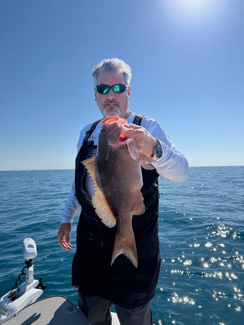 Inshore Fishing 1/2 Day 