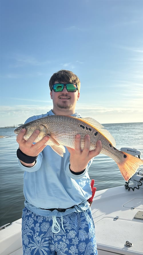 Inshore Fishing 1/2 Day 