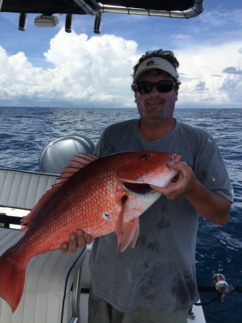 Inshore Fishing 1/2 Day 