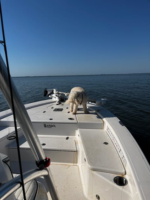 Inshore Fishing 1/2 Day 