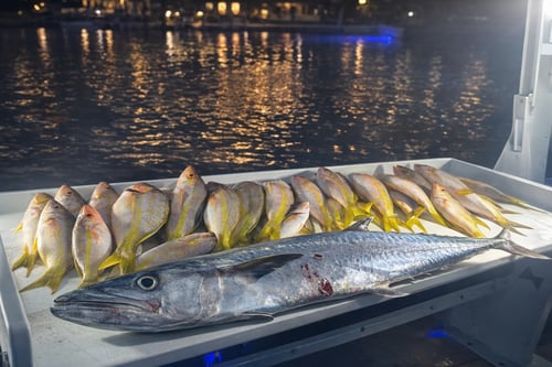 Miami Night Fishing Experience 