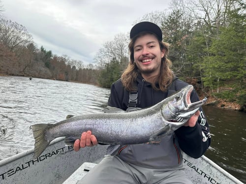 Full Day Trip – Salmon River