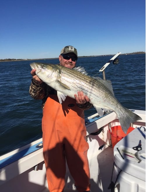  Sport Fishing