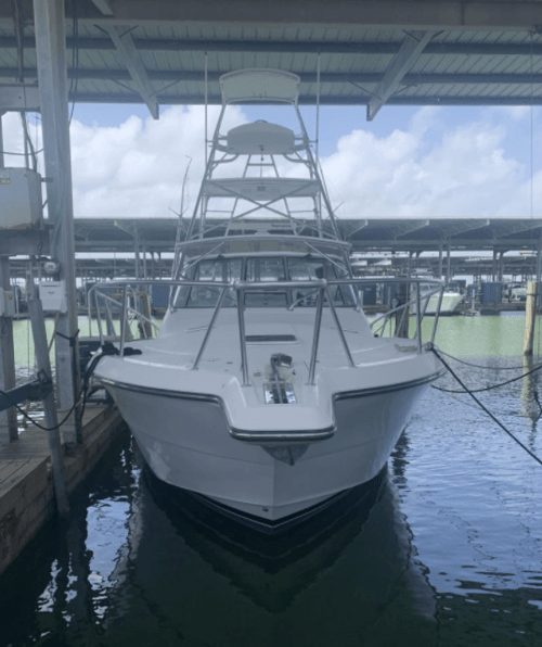 Galveston Deep Sea Trophy Fishing