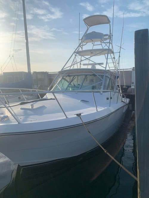 Galveston Deep Sea Trophy Fishing