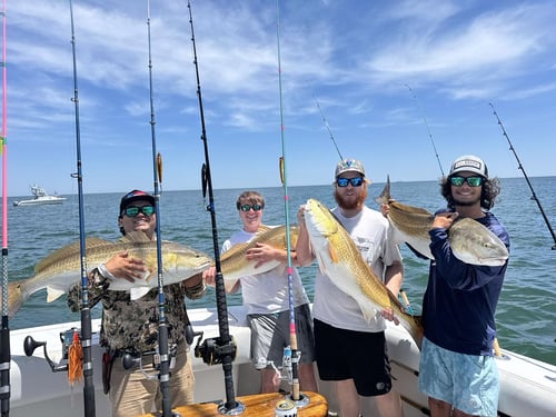 Half Day Inshore Fishing 