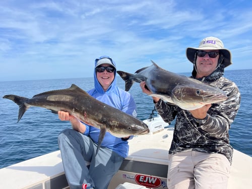 6 Hour Am/Pm Fishing, Big Fish!