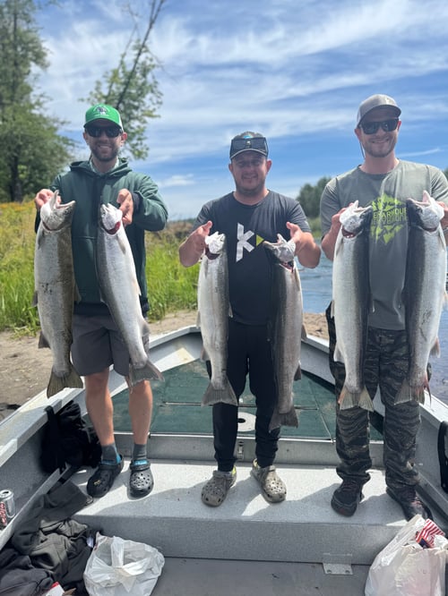 Summer Steelhead 
