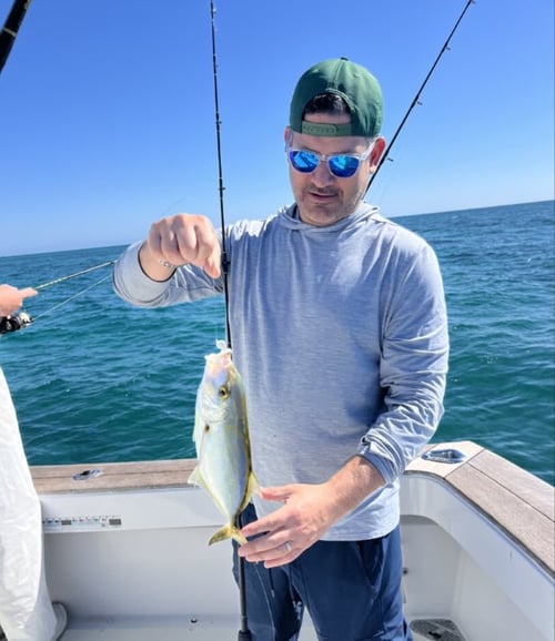 4-8 Hour Offshore Trip