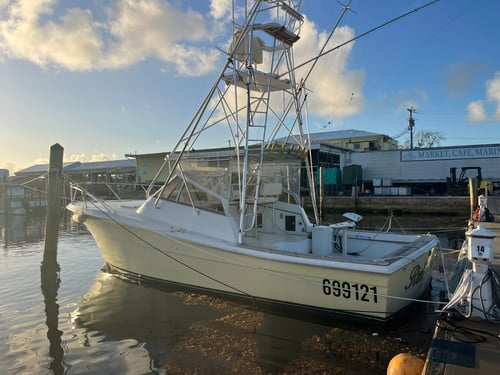 4-8 Hour Offshore Trip