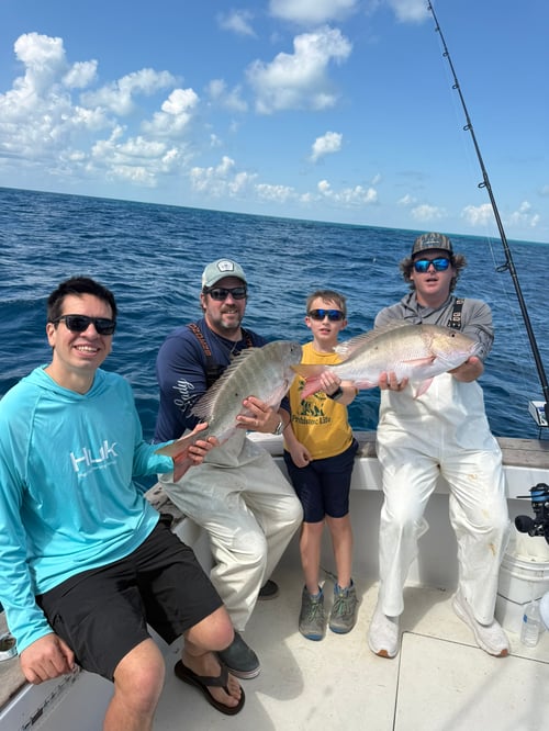 4-8 Hour Offshore Trip