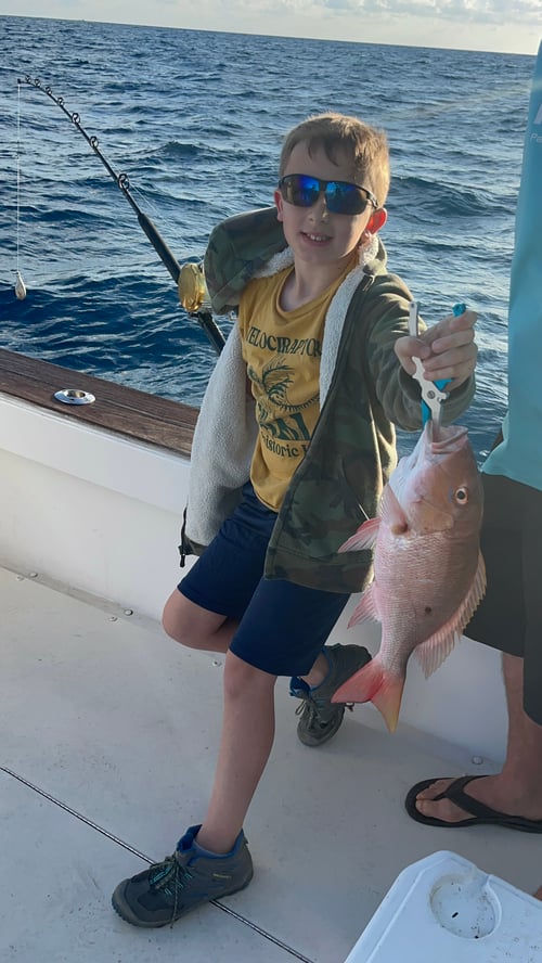 4-8 Hour Offshore Trip