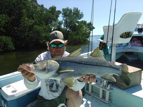 SWFL Fishing