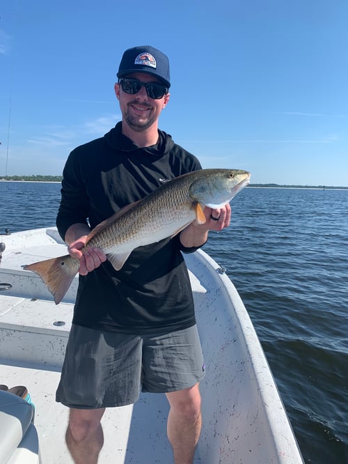 Shallow Water Sight Fishing 