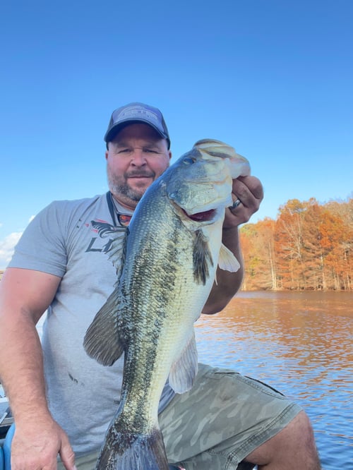 Bass Bonanza 