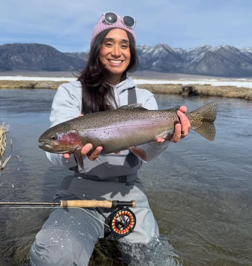 Vcatch And Release Fly Fishing