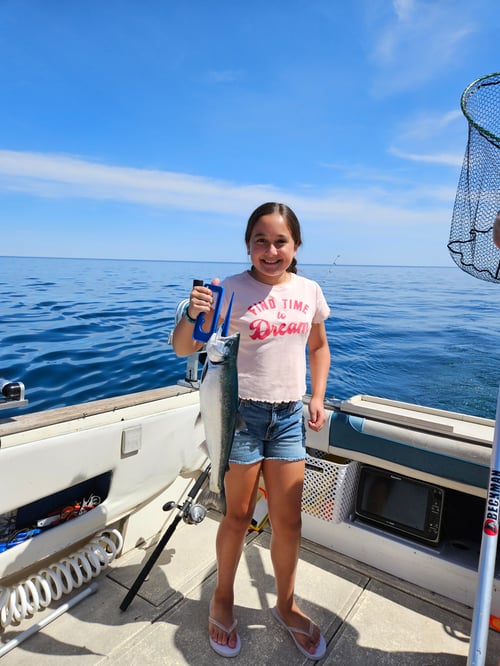 Lake Michigan Salmon & Trout