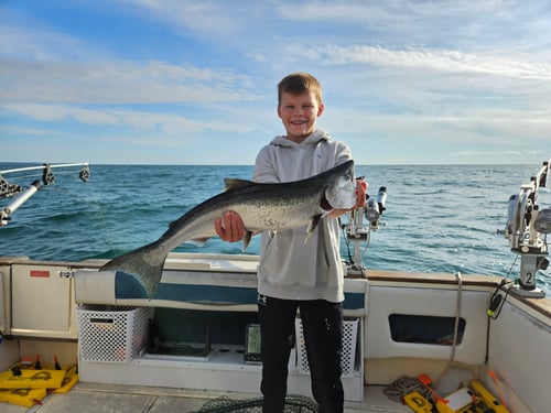 Lake Michigan Salmon & Trout
