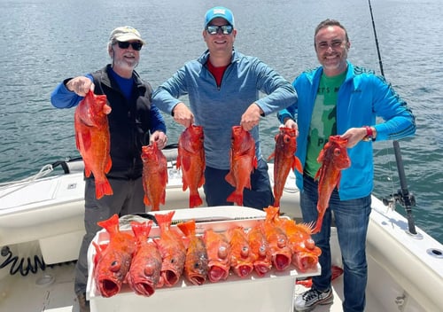 San Diego Inshore Fishing