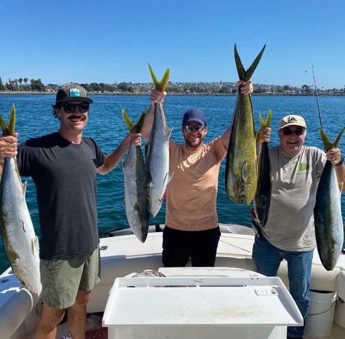 Deep Sea Fishing