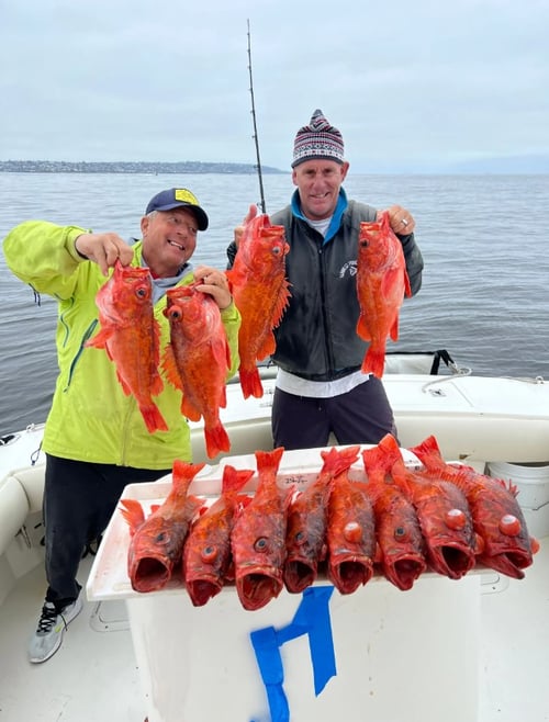San Diego Island Fishing