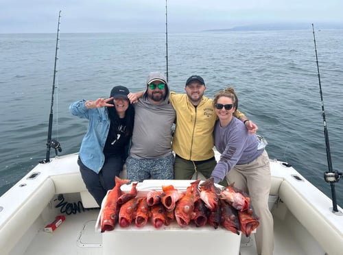 San Diego Island Fishing
