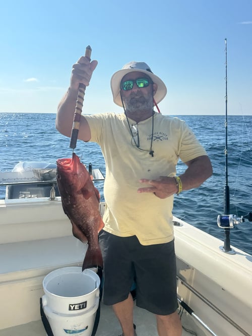 Offshore Fishing Trips (Tidewater)