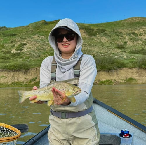 Bow River Float Trip In The City