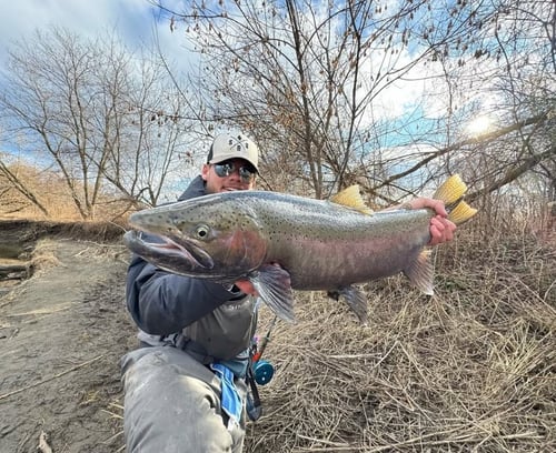 Day Trip – Niagara Falls