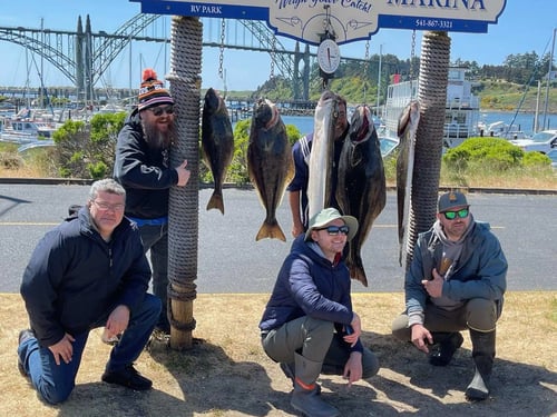 Offshore Halibut Trips