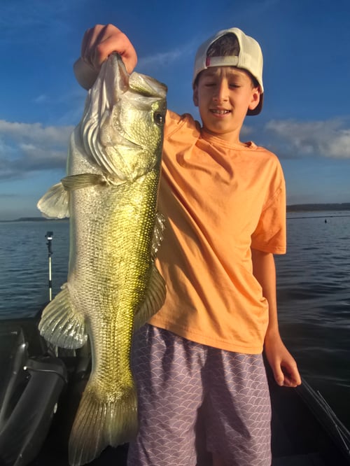 Austin Area Bass Fishing Guide