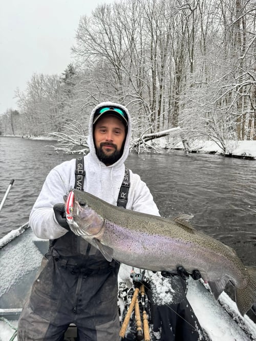 Half Or Full Day Trip