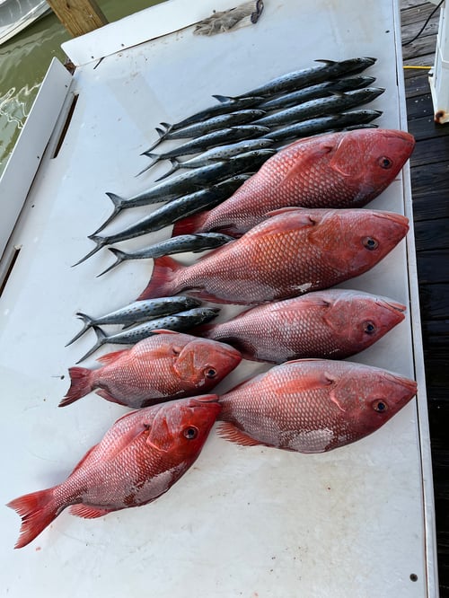 3 Hour Inshore Trip