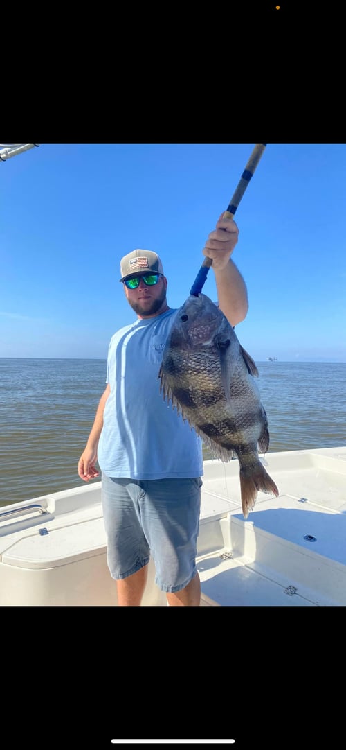 3 Hour Inshore Trip