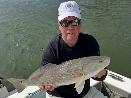 1/2 Day Nearshore/Inshore  