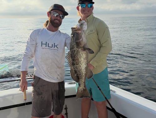 Extended Offshore Experience