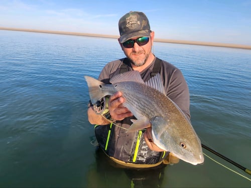 Nearshore Fishing Trip