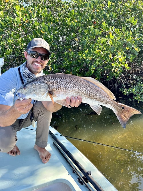 Inshore Fishing Trip