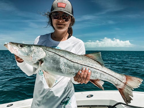  Inshore Fishing 
